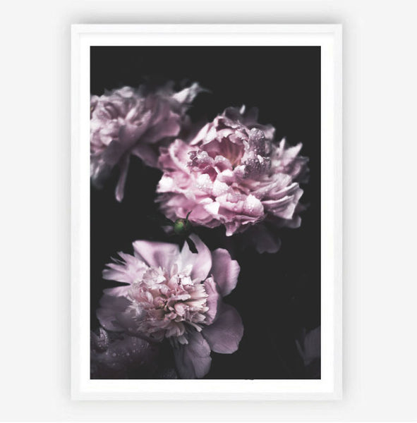 Dark Blooms-Art for Interiors-Online Framed-Australian Made Wall Art-Milk n Honey Designs