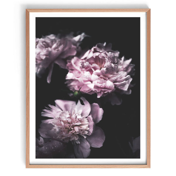 Dark Blooms-Art for Interiors-Online Framed-Australian Made Wall Art-Milk n Honey Designs