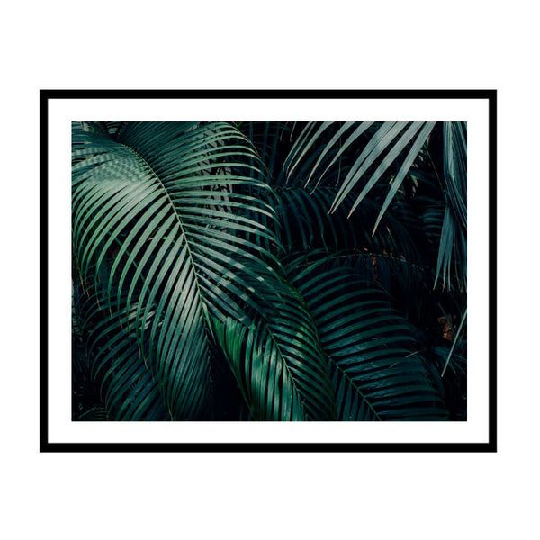 Dark Palms Print-Art for Interiors-Online Framed-Australian Made Wall Art-Milk n Honey Designs