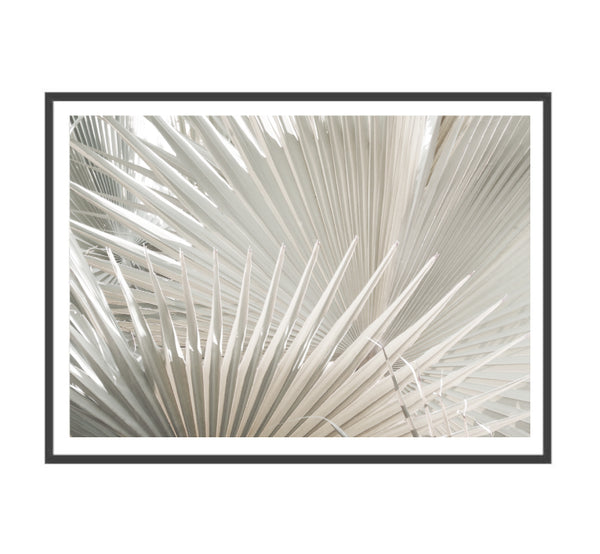 Nude Fan Palms Print-Art for Interiors-Online Framed-Australian Made Wall Art-Milk n Honey Designs