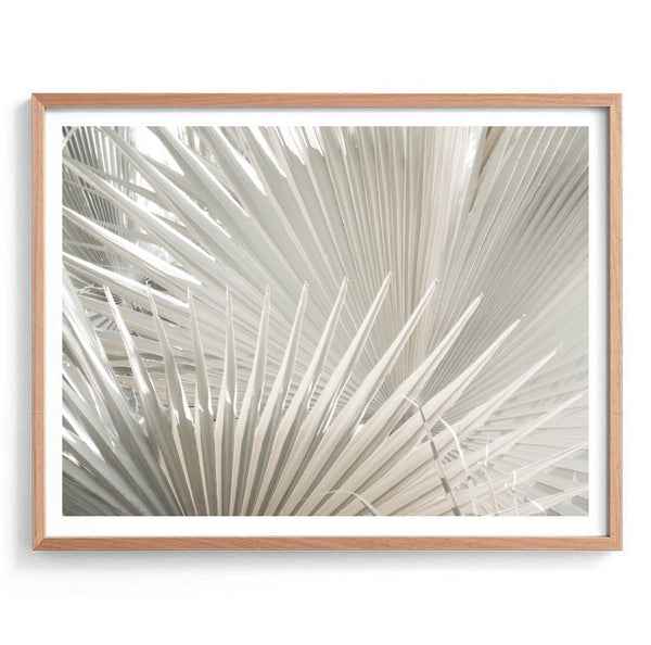 Nude Fan Palms Print-Art for Interiors-Online Framed-Australian Made Wall Art-Milk n Honey Designs