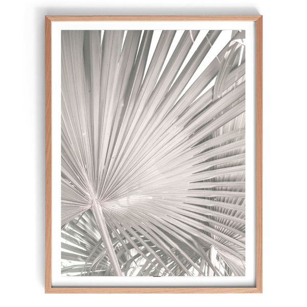 Dried Fan Palm Print-Art for Interiors-Online Framed-Australian Made Wall Art-Milk n Honey Designs