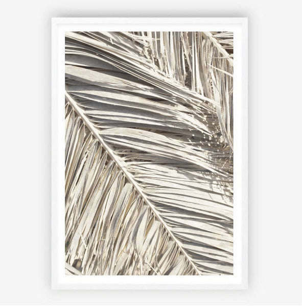 Dried Palm Fronds Print-Art for Interiors-Online Framed-Australian Made Wall Art-Milk n Honey Designs