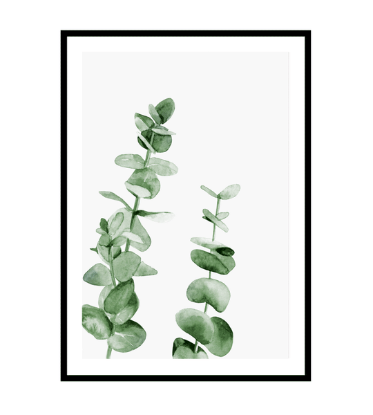 Eucalyptus Watercolour Print