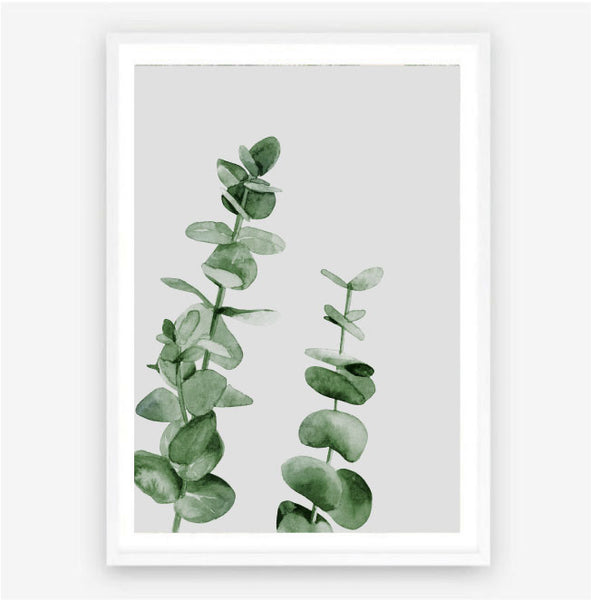 Eucalyptus Watercolour Print-Art for Interiors-Online Framed-Australian Made Wall Art-Milk n Honey Designs