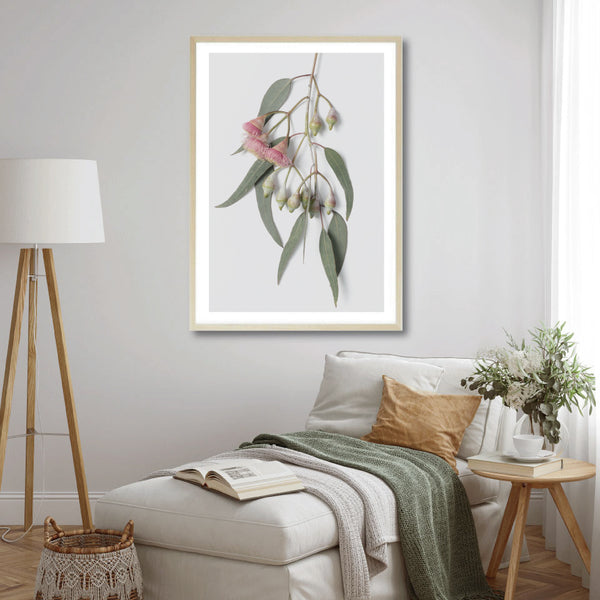 Flowering Gum Leaves Print