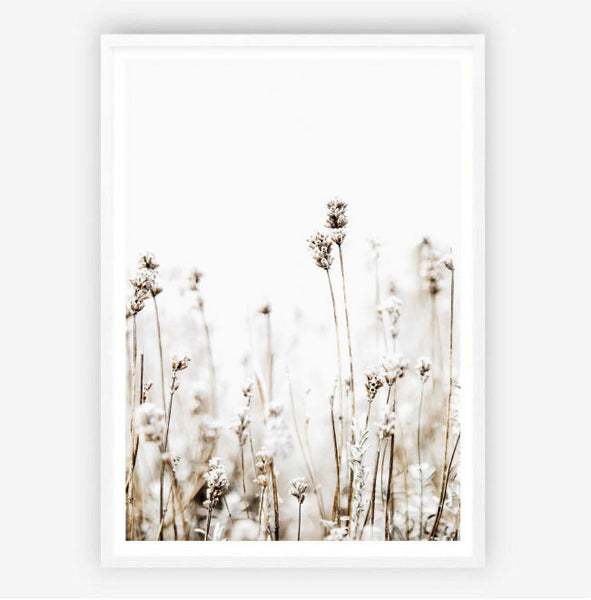 Grass Fields Print-Art for Interiors-Online Framed-Australian Made Wall Art-Milk n Honey Designs