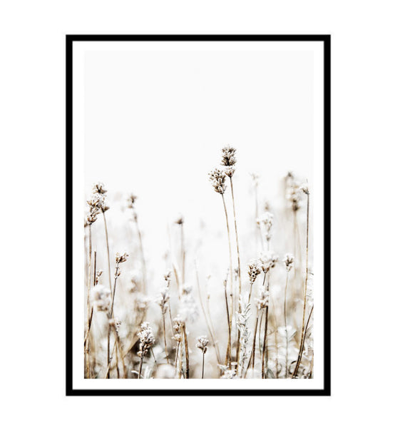 Grass Fields Print-Art for Interiors-Online Framed-Australian Made Wall Art-Milk n Honey Designs