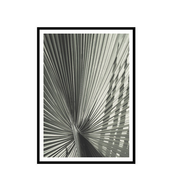 Green Fan Palm Print-Art for Interiors-Online Framed-Australian Made Wall Art-Milk n Honey Designs