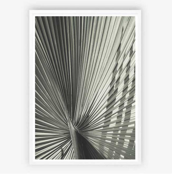 Green Fan Palm Print-Art for Interiors-Online Framed-Australian Made Wall Art-Milk n Honey Designs