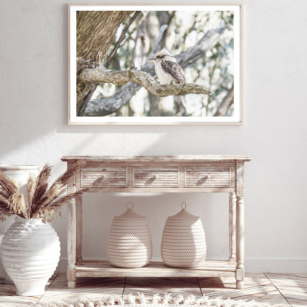 Kookaburra in the Gum Tree Print