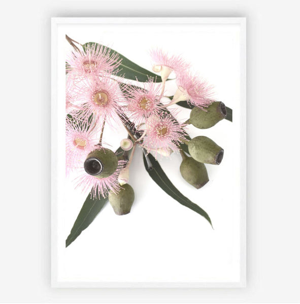 Pink Gum Blossom Print - Portrait-Art for Interiors-Online Framed-Australian Made Wall Art-Milk n Honey Designs