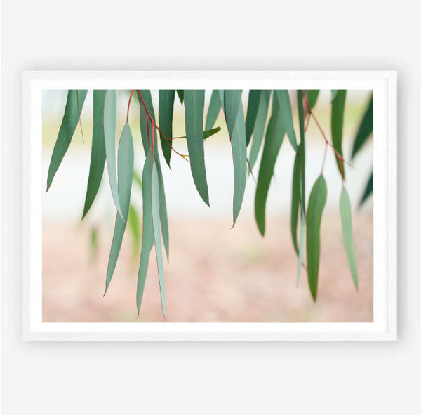 Among the Gum Trees Print-Art for Interiors-Online Framed-Australian Made Wall Art-Milk n Honey Designs