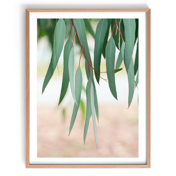 Among the Gum Trees Print-Art for Interiors-Online Framed-Australian Made Wall Art-Milk n Honey Designs