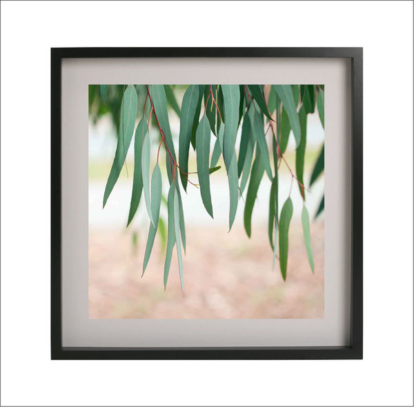 Among the Gum Trees Print-Art for Interiors-Online Framed-Australian Made Wall Art-Milk n Honey Designs