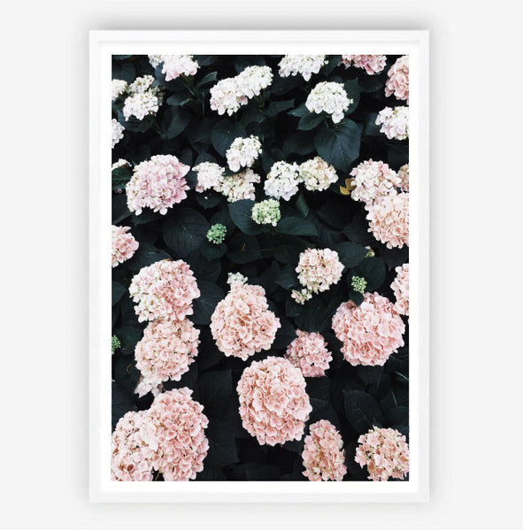 Hydrangea Garden Print-Art for Interiors-Online Framed-Australian Made Wall Art-Milk n Honey Designs