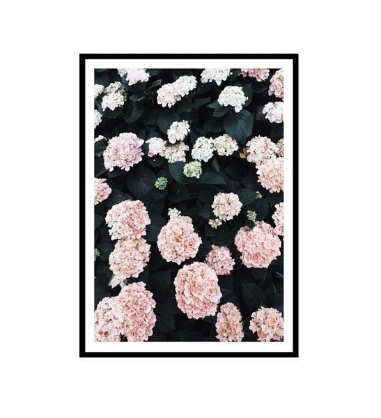 Hydrangea Garden Print-Art for Interiors-Online Framed-Australian Made Wall Art-Milk n Honey Designs