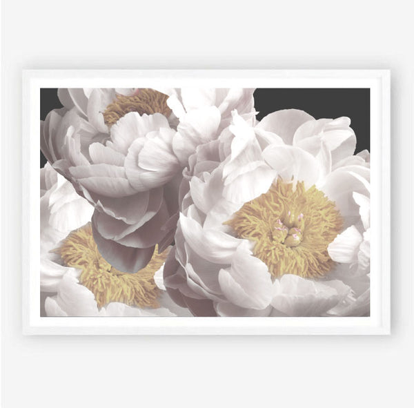 In Full Bloom Print-Art for Interiors-Online Framed-Australian Made Wall Art-Milk n Honey Designs