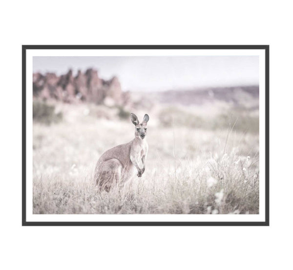 Kangaroo Grasslands Print-Art for Interiors-Online Framed-Australian Made Wall Art-Milk n Honey Designs
