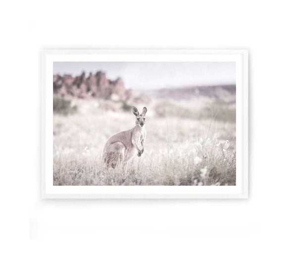 Kangaroo Grasslands Print-Art for Interiors-Online Framed-Australian Made Wall Art-Milk n Honey Designs