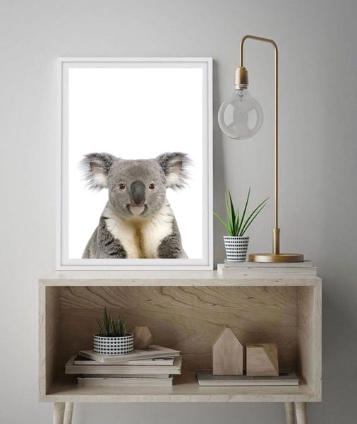 Koala Photographic Print-Art for Interiors-Online Framed-Australian Made Wall Art-Milk n Honey Designs