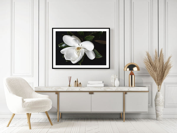 Magnolia in Bloom Print-Art for Interiors-Online Framed-Australian Made Wall Art-Milk n Honey Designs