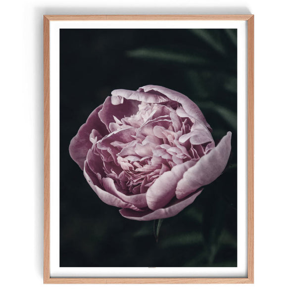 Midnight Garden Print-Art for Interiors-Online Framed-Australian Made Wall Art-Milk n Honey Designs