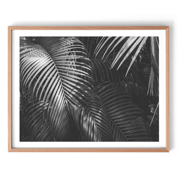Mono Palms Print-Art for Interiors-Online Framed-Australian Made Wall Art-Milk n Honey Designs