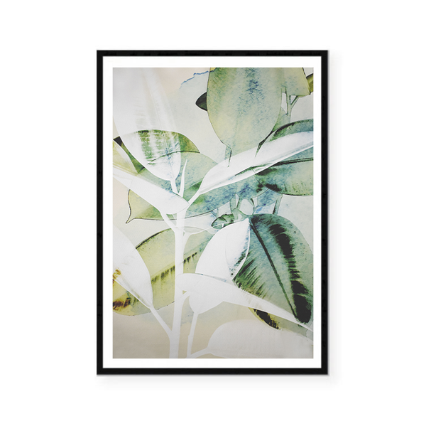 Monstera Abstract II Print