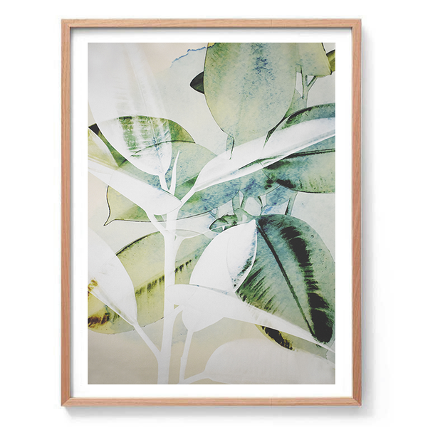 Monstera Abstract II Print