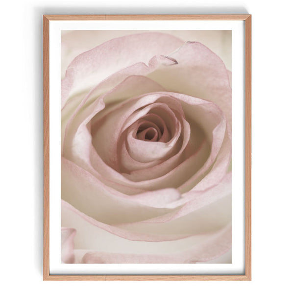 Morning Bloom Print-Art for Interiors-Online Framed-Australian Made Wall Art-Milk n Honey Designs