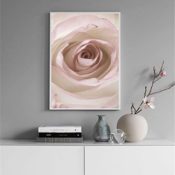 Morning Bloom Print-Art for Interiors-Online Framed-Australian Made Wall Art-Milk n Honey Designs