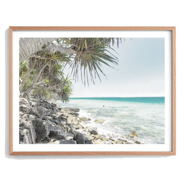 Noosa Pandanus Palms Photography Print-Art for Interiors-Online Framed-Australian Made Wall Art-Milk n Honey Designs