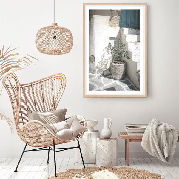 Olive Tree Photography Print