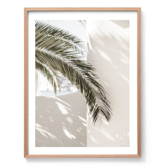Palm Leaf Shadow Print