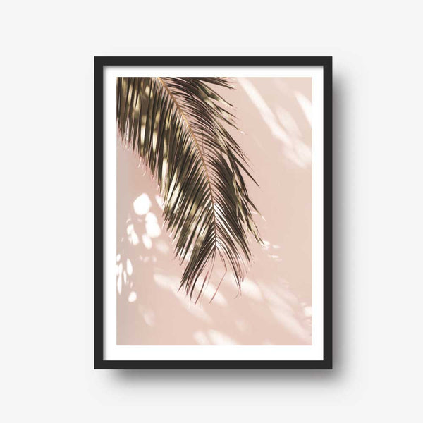 Palm Shadow Wall Art Print-Art for Interiors-Online Framed-Australian Made Wall Art-Milk n Honey Designs