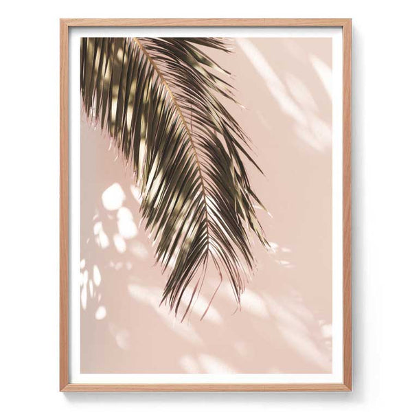 Palm Shadow Unframed 50x70cm-Art for Interiors-Online Framed-Australian Made Wall Art-Milk n Honey Designs