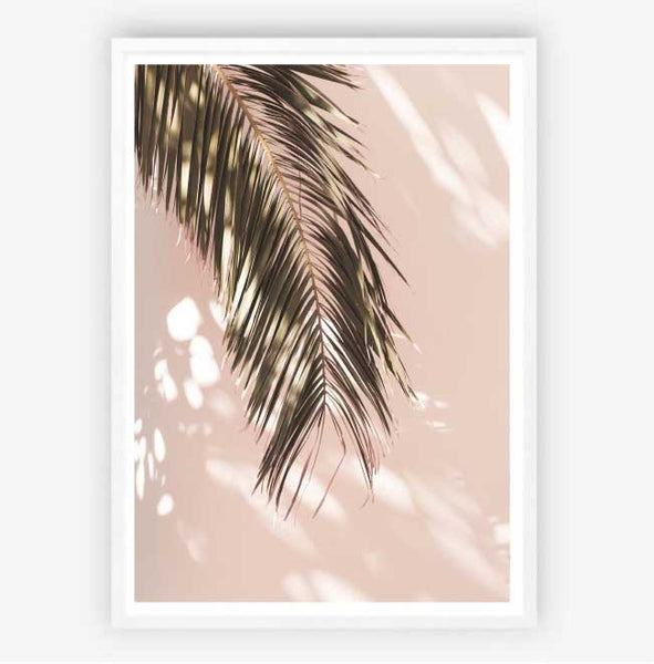 Palm Shadow Wall Art Print-Art for Interiors-Online Framed-Australian Made Wall Art-Milk n Honey Designs