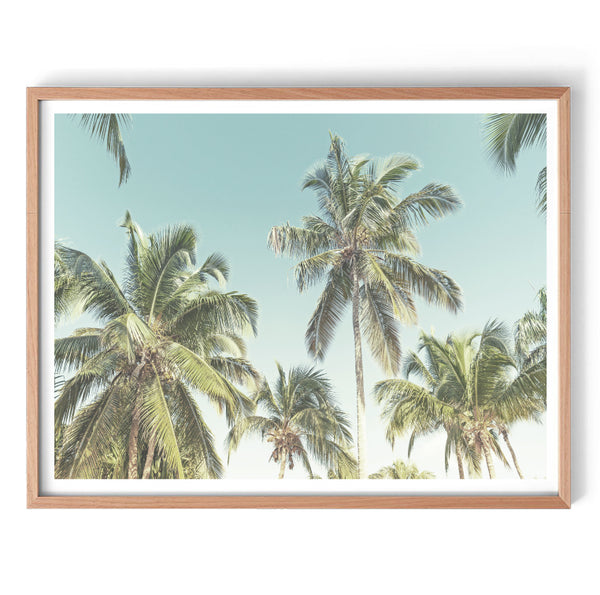 Palm Sky Wall Art Print-Art for Interiors-Online Framed-Australian Made Wall Art-Milk n Honey Designs