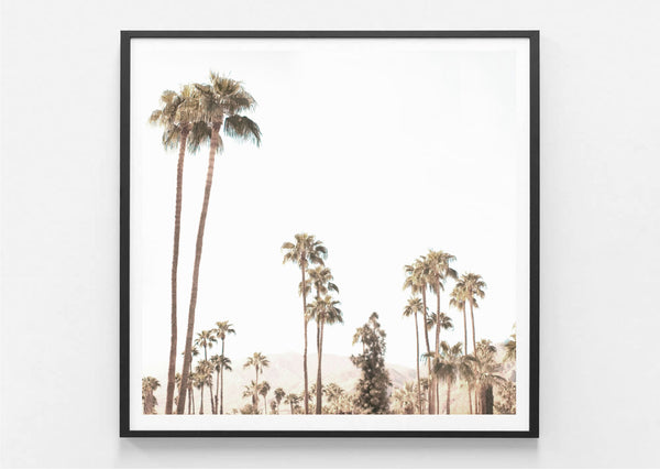 Palm Springs Valley Print-Art for Interiors-Online Framed-Australian Made Wall Art-Milk n Honey Designs