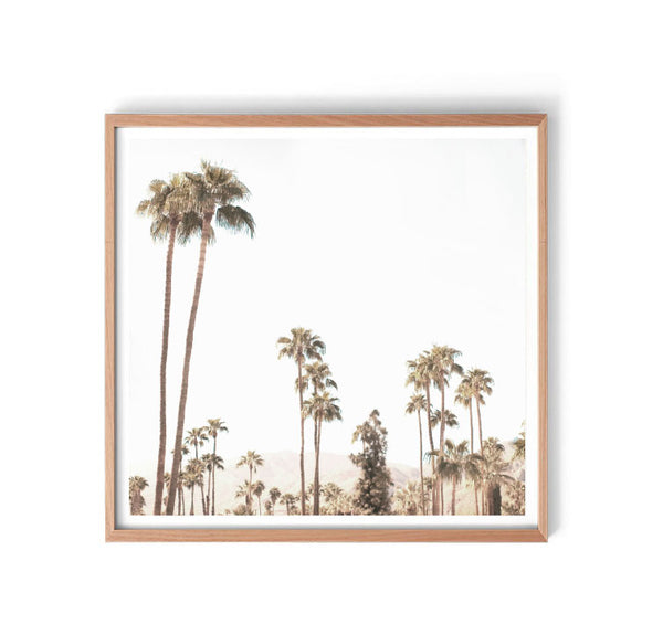 Palm Springs Valley Print-Art for Interiors-Online Framed-Australian Made Wall Art-Milk n Honey Designs