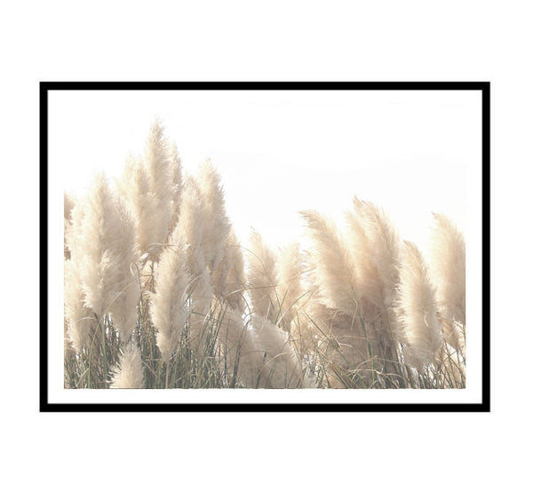 Pampas Fields Print-Art for Interiors-Online Framed-Australian Made Wall Art-Milk n Honey Designs