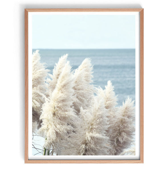 Pampas by the Sea Print-Art for Interiors-Online Framed-Australian Made Wall Art-Milk n Honey Designs