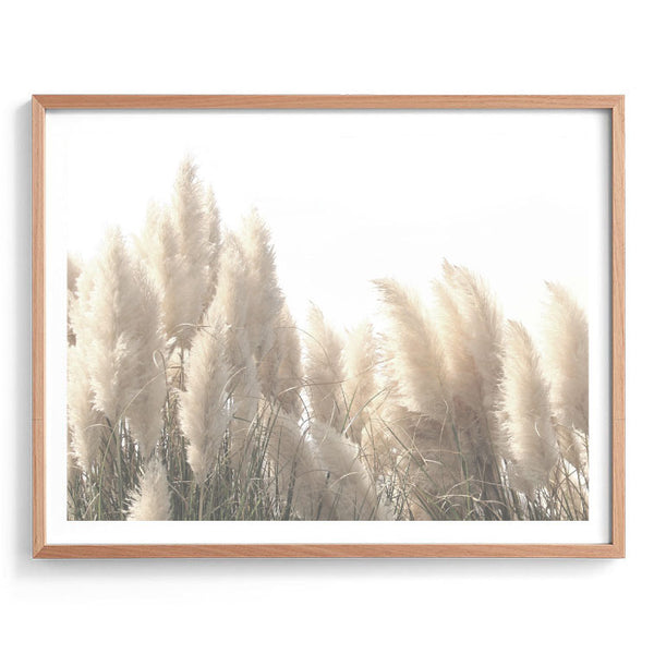 Pampas Fields Print-Art for Interiors-Online Framed-Australian Made Wall Art-Milk n Honey Designs