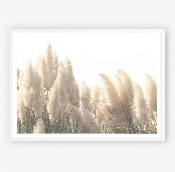 Pampas Fields Print-Art for Interiors-Online Framed-Australian Made Wall Art-Milk n Honey Designs