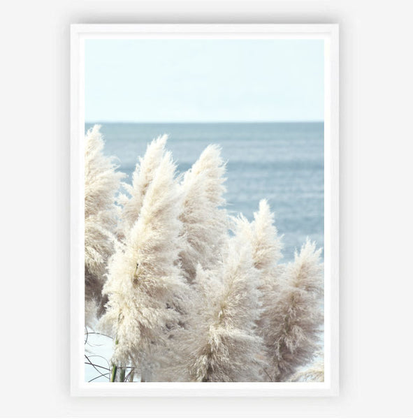Pampas by the Sea Print-Art for Interiors-Online Framed-Australian Made Wall Art-Milk n Honey Designs