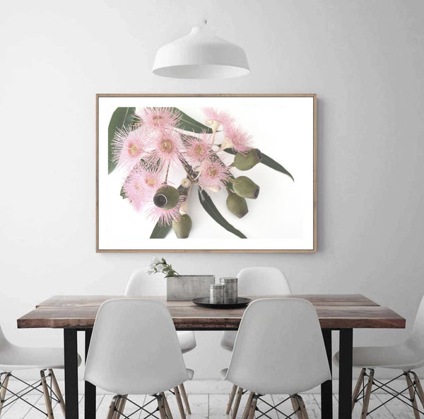 Pink Gum Blossom Print - Landscape-Art for Interiors-Online Framed-Australian Made Wall Art-Milk n Honey Designs