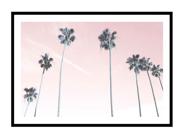Pink Palms Photography Print-Art for Interiors-Online Framed-Australian Made Wall Art-Milk n Honey Designs
