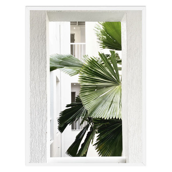 Port Douglas Palm Print