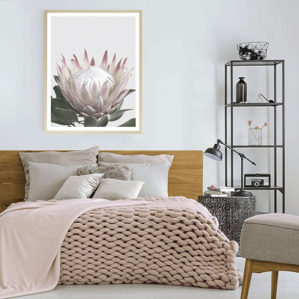 Protea in Bloom II Print-Art for Interiors-Online Framed-Australian Made Wall Art-Milk n Honey Designs